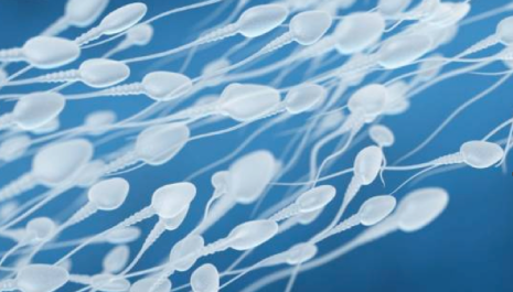 Un nouveau gel contraceptif applicable sur la peau en phase d’essai clinique